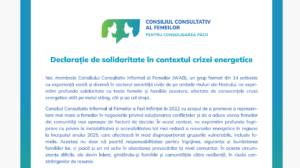 Captură de ecran 2025-02-12 212310